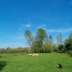 Camp Wolf & Sheep- Nature & Adventure * 波德戈里察
