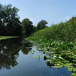 Camp Wolf & Sheep- Nature & Adventure 营地 *