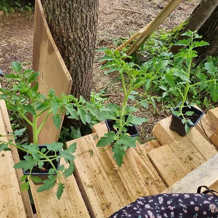 Camp Wolf & Sheep- Nature & Adventure * Podgorica