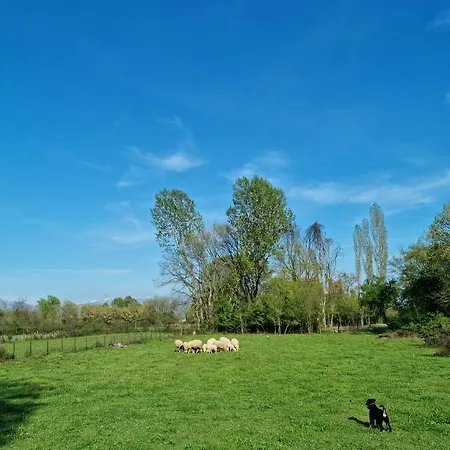 Camp Wolf & Sheep- Nature & Adventure * Podgorica