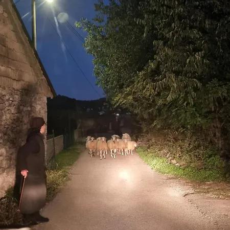 Camp Wolf & Sheep- Nature & Adventure Campeggio