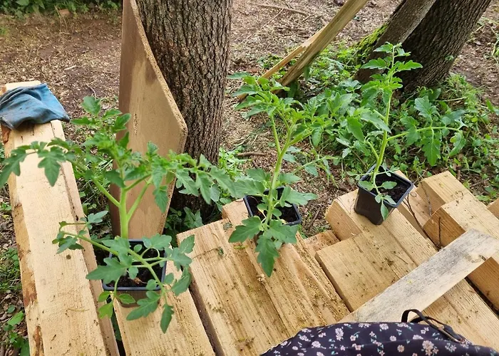 Camp Wolf & Sheep- Nature & Adventure * Podgorica