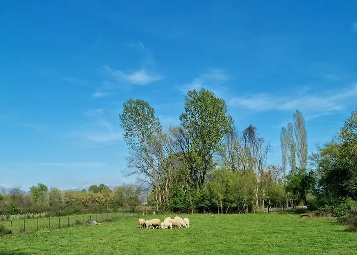 Camp Wolf & Sheep- Nature & Adventure * Podgorica