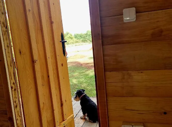 Campeggio Camp Wolf & Sheep- Nature & Adventure