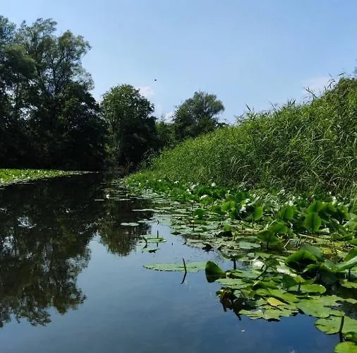 Camp Wolf & Sheep- Nature & Adventure Campeggio *