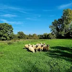 مكان تخييم Camp Wolf & Sheep- Nature & Adventure بودغوريتْسا