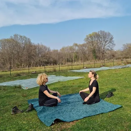 Private Camp - Wolf & Sheep - 4 Bungalows- 8 Person Camping Podgorica