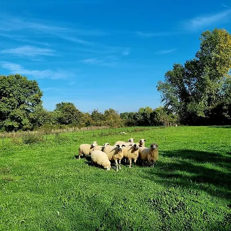 Кемпінг Private Camp - Wolf & Sheep - 4 Bungalows- 8 Person Подгориця