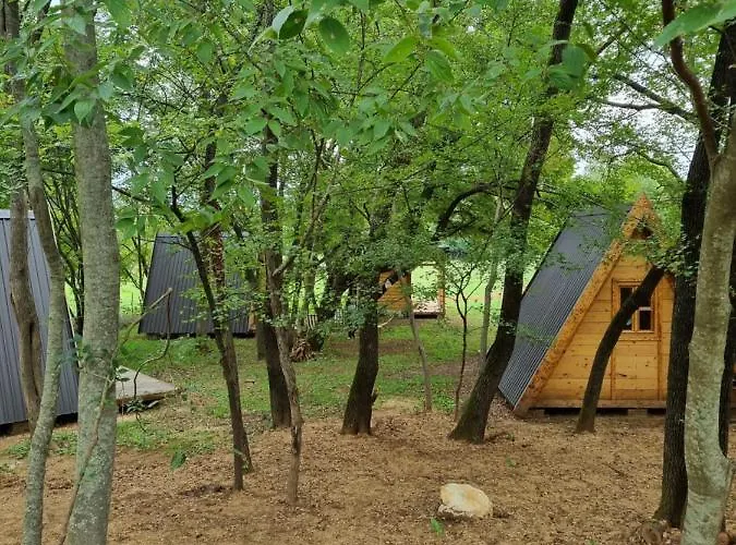 Camp Wolf & Sheep- Nature & Adventure *