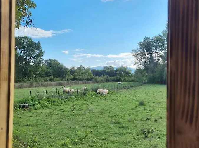 Camping Camp Wolf & Sheep- Nature & Adventure *