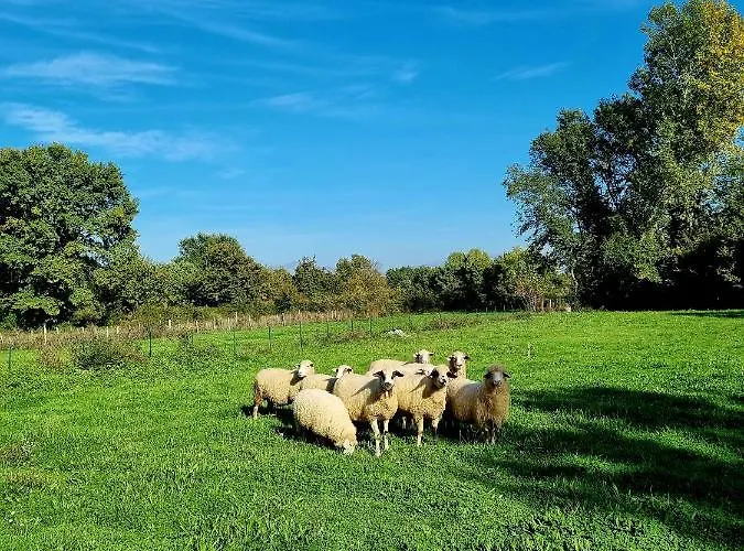 Camping Camp Wolf & Sheep- Nature & Adventure Podgorica