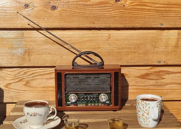 Camp Wolf & Sheep- Nature & Adventure